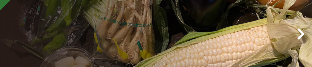 旬野菜の詰め合わせ