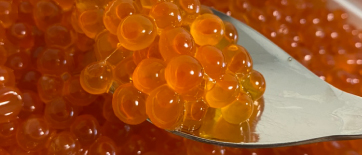 イクラの醤油漬け / 北海道産